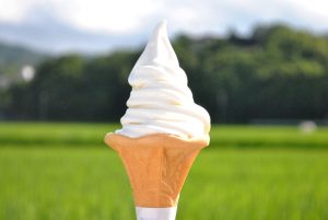 望月高原ソフトクリーム